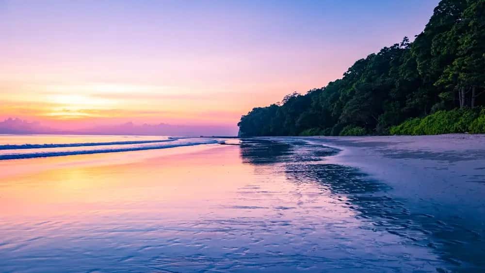 Bike and Car Rental in India - GoWheelo