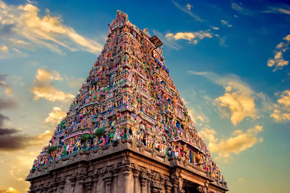 Bike and Car Rental in India - GoWheelo