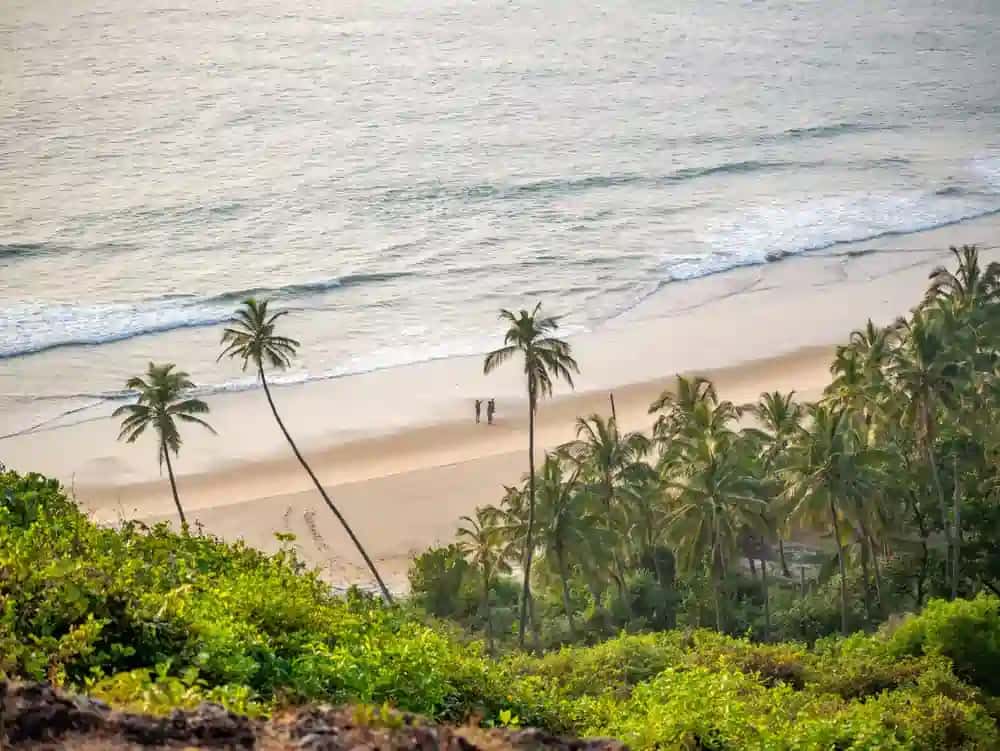 Bike and Car Rental in India - GoWheelo