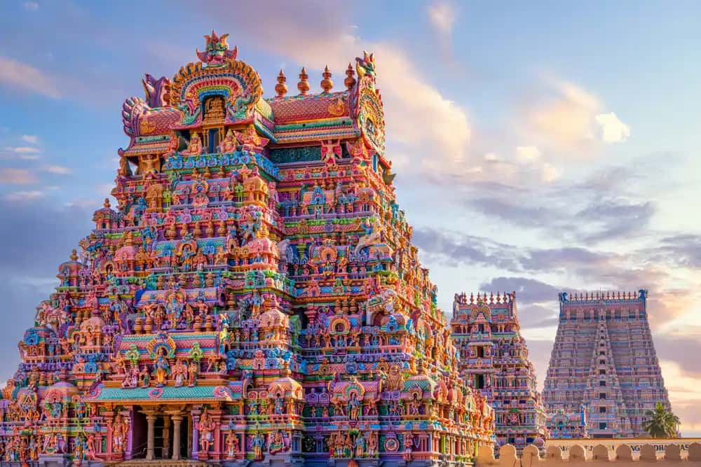 Bike and Car Rental in India - GoWheelo