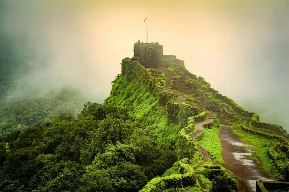 Bike and Car Rental in India - GoWheelo