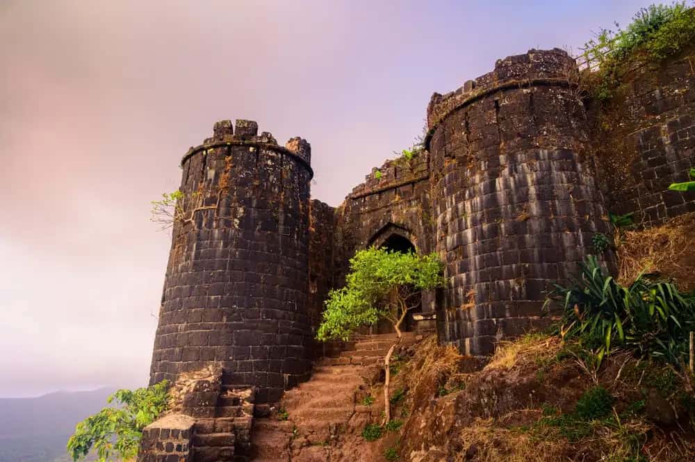 Bike and Car Rental in India - GoWheelo