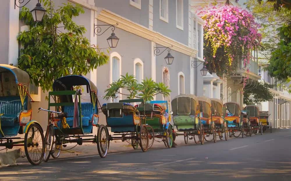 Bike and Car Rental in India - GoWheelo